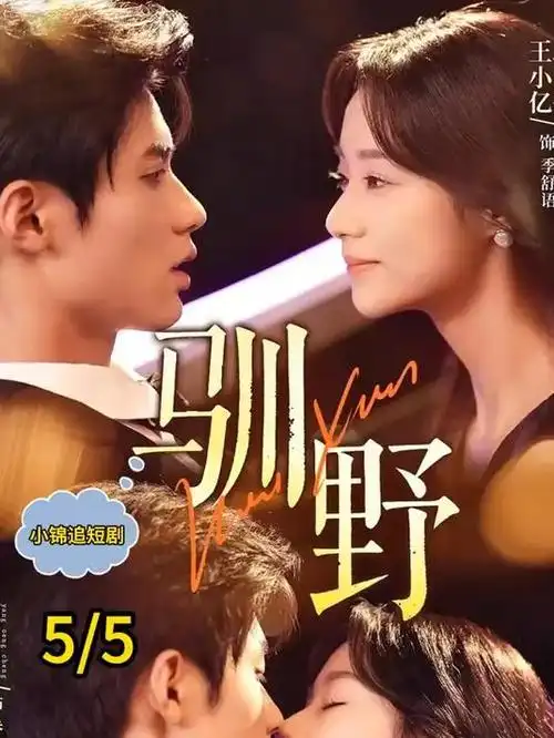 春分之后 都市职场剧全集
